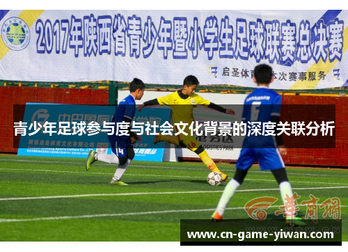 青少年足球参与度与社会文化背景的深度关联分析